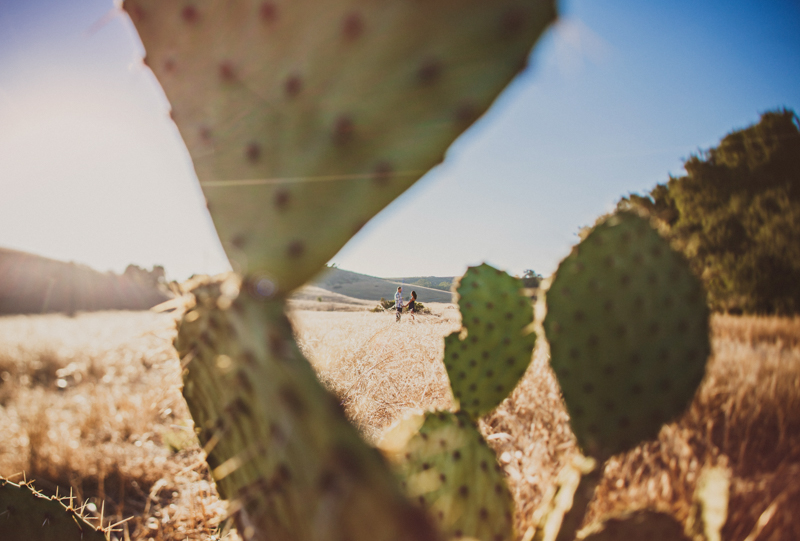 cactus engagement photo